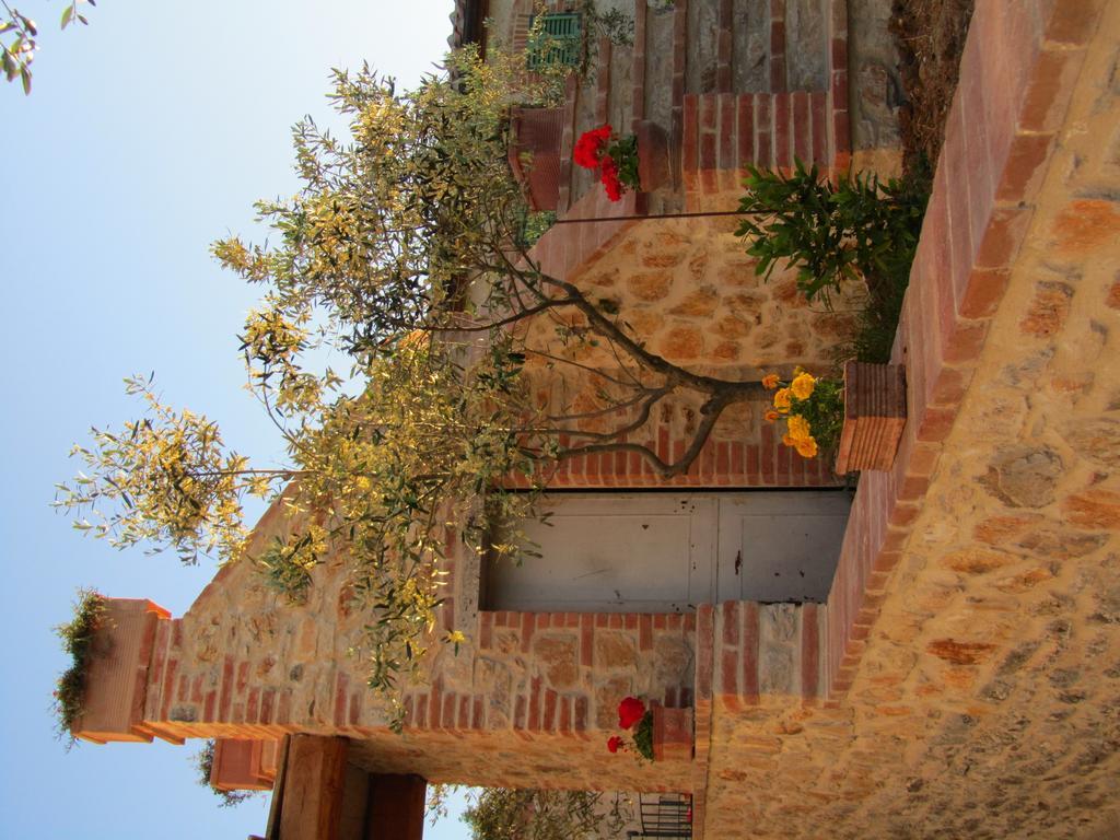 Agriturismo Borghetto Il Montino Rapolano Terme Ngoại thất bức ảnh
