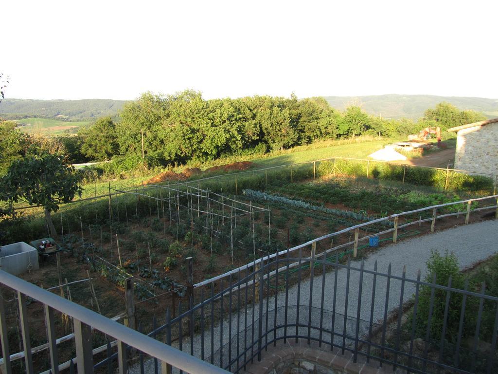 Agriturismo Borghetto Il Montino Rapolano Terme Ngoại thất bức ảnh