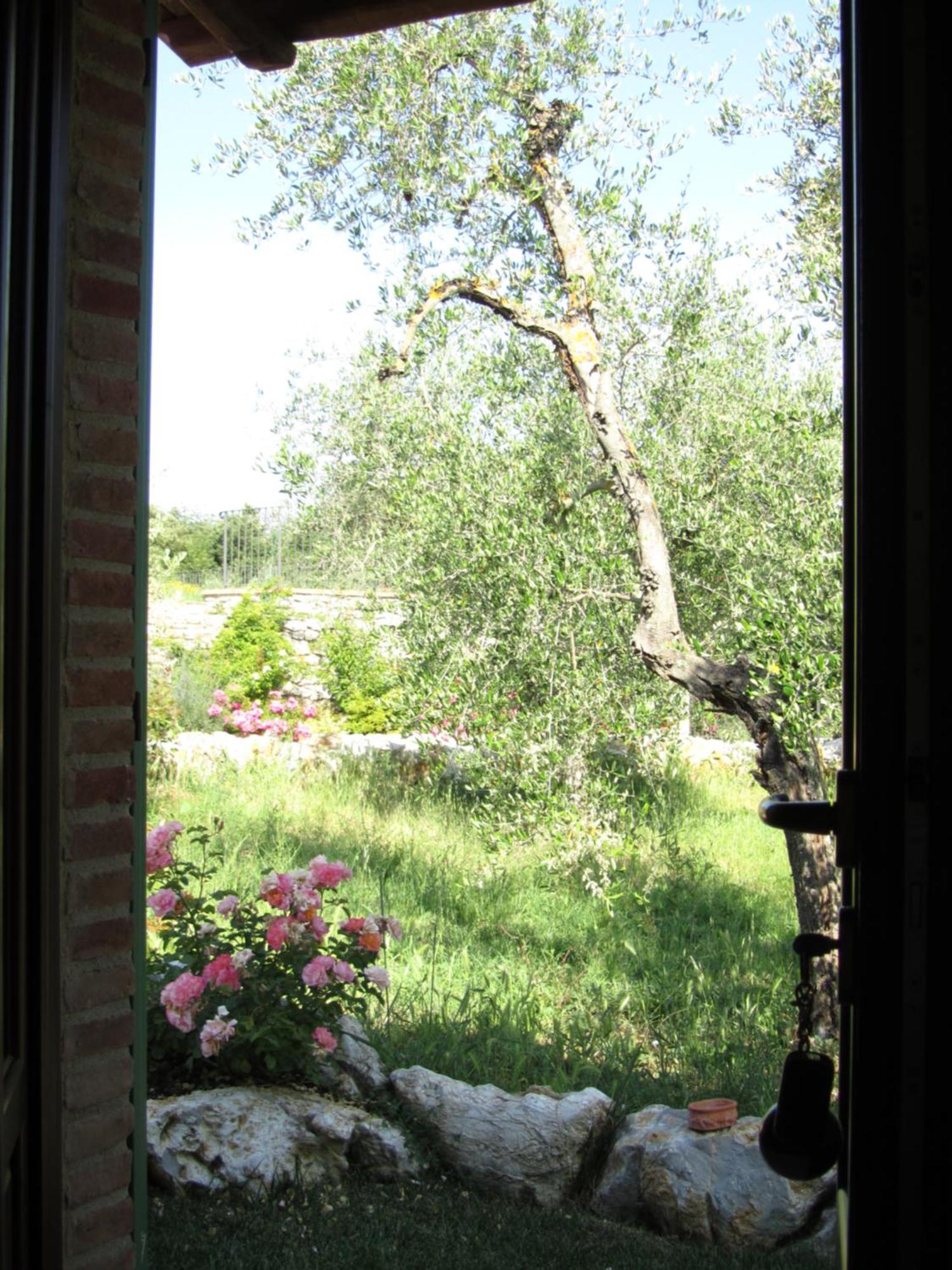 Agriturismo Borghetto Il Montino Rapolano Terme Ngoại thất bức ảnh