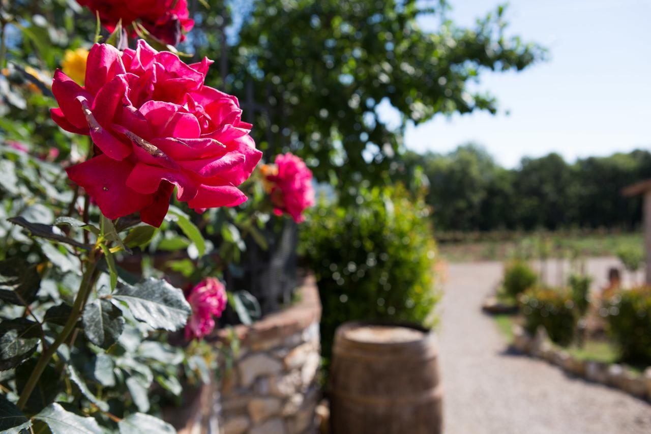Agriturismo Borghetto Il Montino Rapolano Terme Ngoại thất bức ảnh