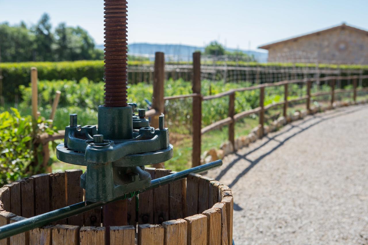 Agriturismo Borghetto Il Montino Rapolano Terme Ngoại thất bức ảnh