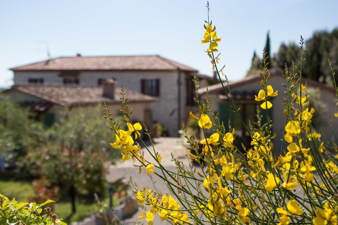 Agriturismo Borghetto Il Montino Rapolano Terme Ngoại thất bức ảnh
